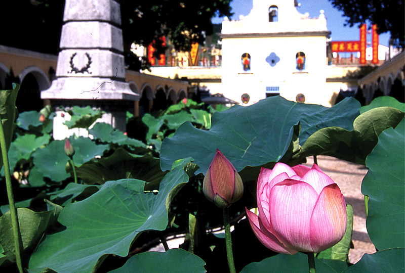 �D������`