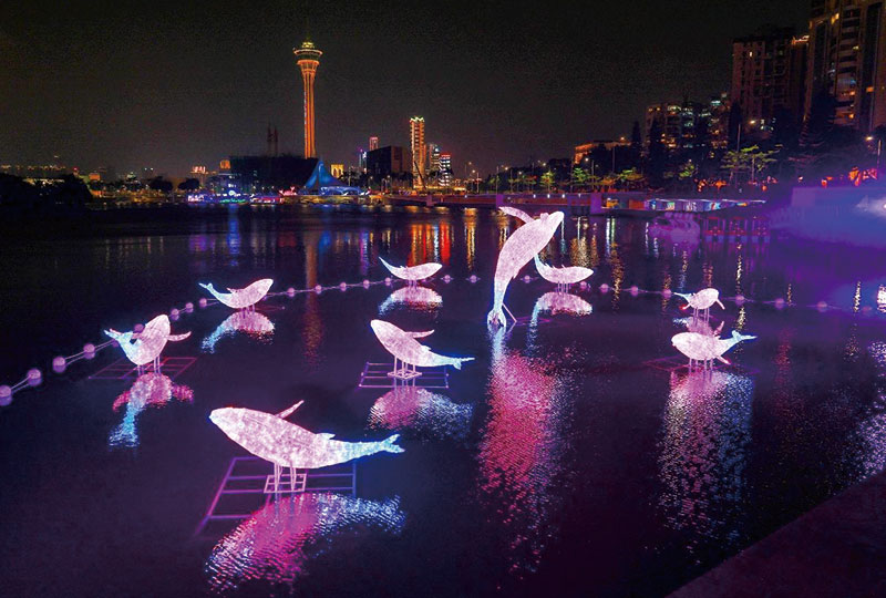 �D�����v�`