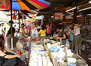 ���Ϭ�����