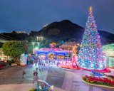 ������v����t��