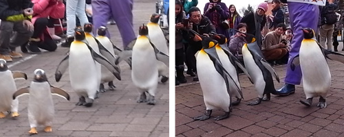 �_���D���J�����v