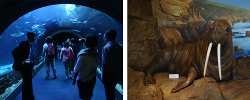 ������W�P�y