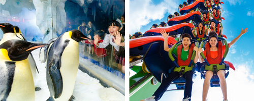 �������v����