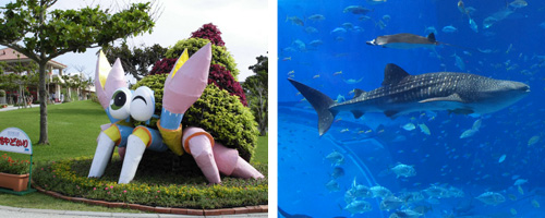 �R÷�����������]