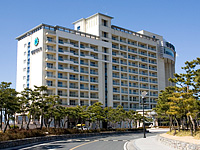 �y�{�j���װ���