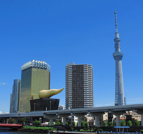 �F�ʴ��Ŷ�