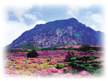 �٦{�q�~�Ԥs