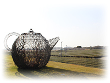 �٦{������ժ��]