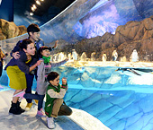 �����X�o��������v����