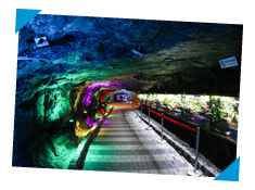 ��������}�]