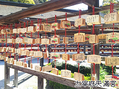 �Ӯ_���Ѻ��c