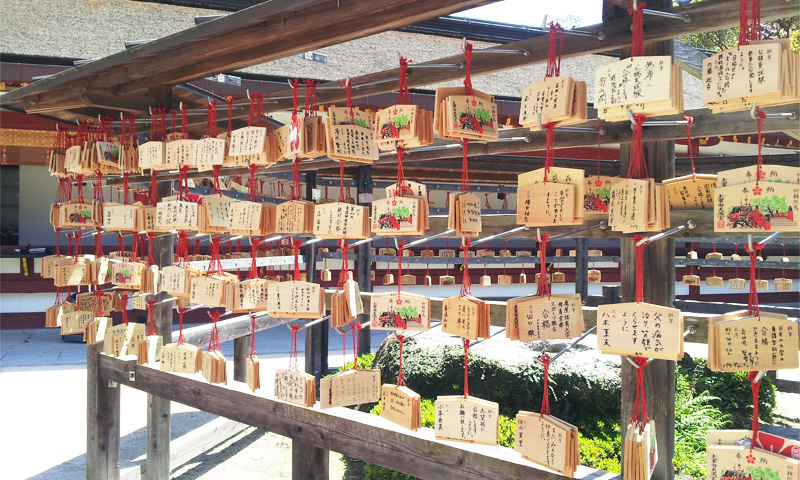 �Ӯ_���Ѻ��c