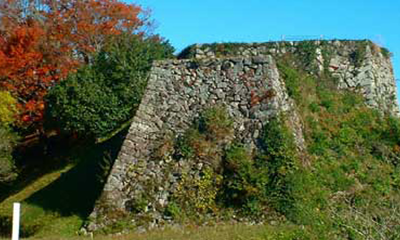 �z�M������