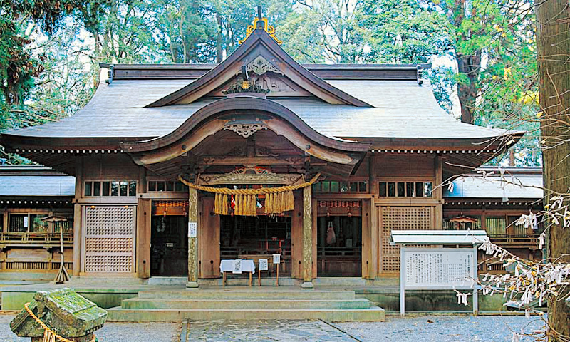 ���d�J����