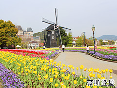 �����n��