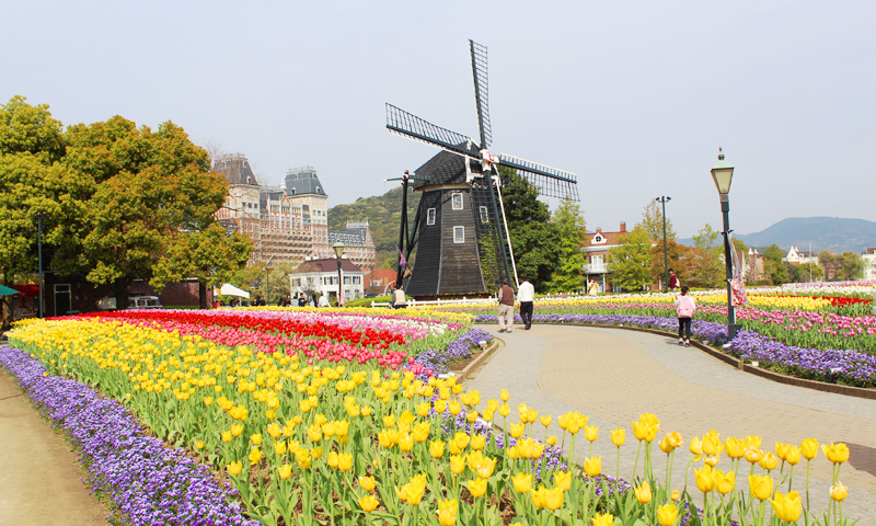 �����n��