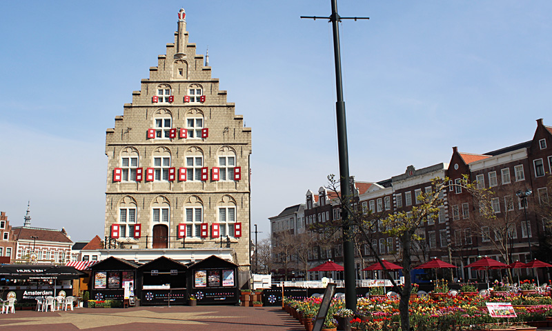 �����n��