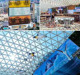 ���������_�Ť����v SHOW