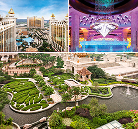 �D���Ȫe_���y�̦h�m �֥����n���P�s������X�װ���