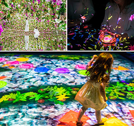 �D��teamLab�W�۵M�Ŷ�