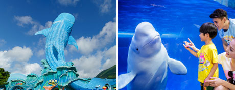 �������v����