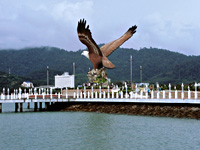 ���Ӧ�ȿˤl�ȹC���I���d�«B�L