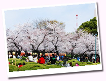 �b�R����