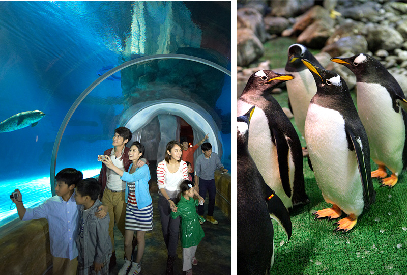 ������v����B���Ѧa�B���G�D