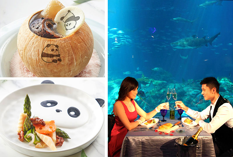 ������v����Ȭw�ʪ��Ѧa�|�t�é_�]���s���\�U