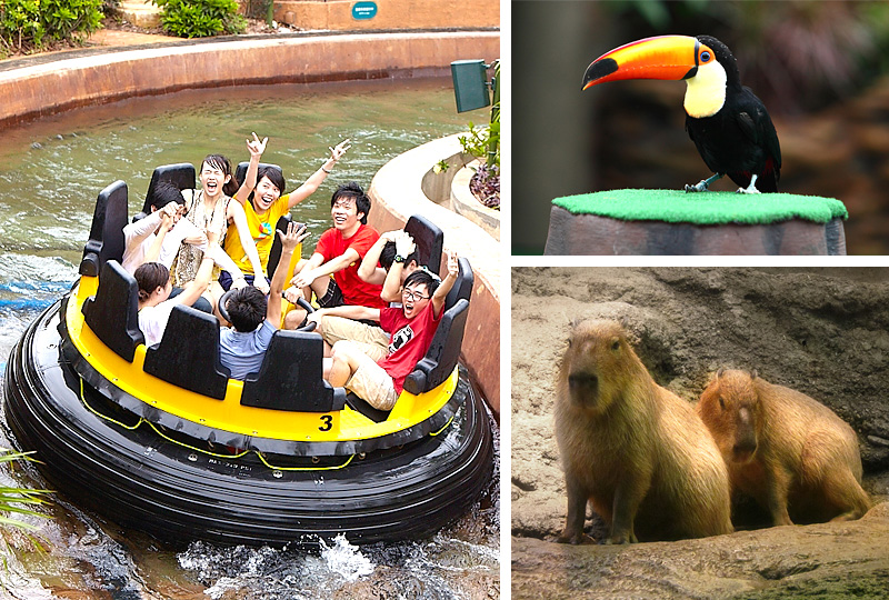 ������v����ʷP�Ѧa���a�B�L�Ѧa