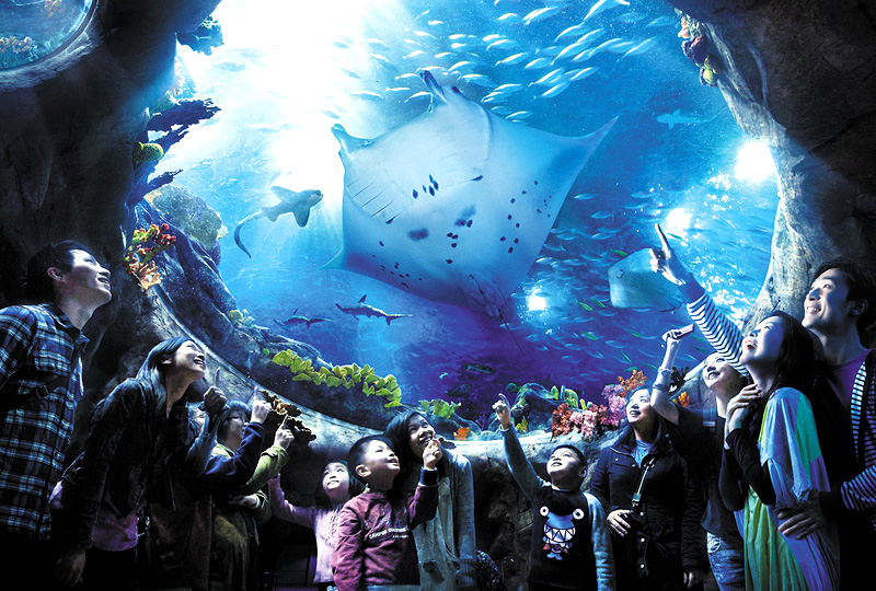 ������v����ʷP�Ѧa�ڤۤ���