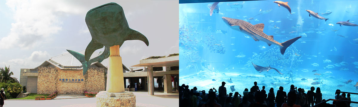 �R÷���v�դ���