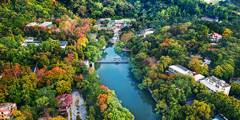 �۪���a�˪L����