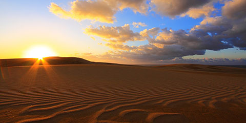 �����F�C