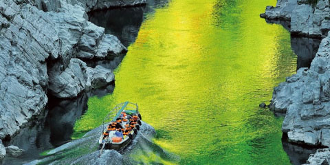 �����˹C��