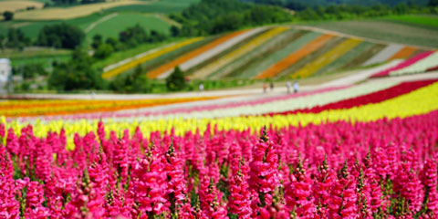 �I�}����ֶ�