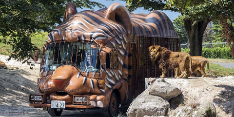 �E�{�۵M�ʪ���