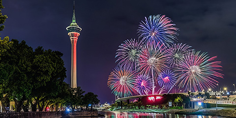 �D�����[�s