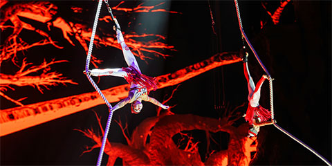 �������������q