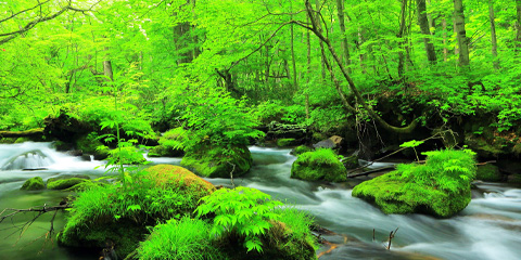 �F�_���J�u��