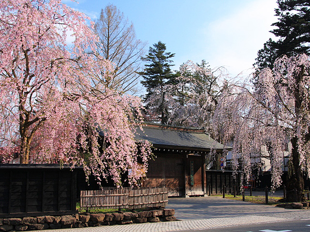 ���]�Z�a�μ�