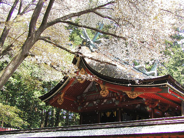 �Q�y����