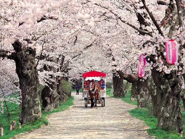 �_�W�i�Ӧa���