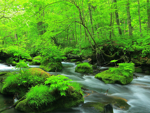 ���J�u��