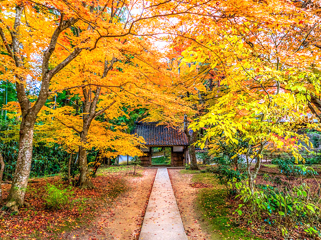 ���u���L�x