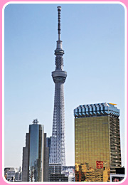 �F�ʴ��Ŷ�Ѫž�