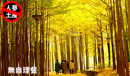 �x���X�o�෬������