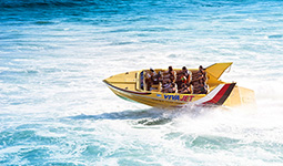 �Q�g�ָ�+�M�����٦{