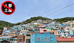 �������W�b�Q�q����C