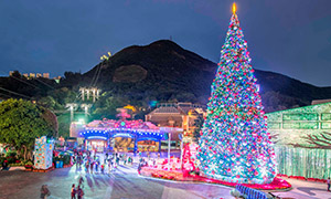 ������v����